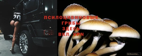метадон Арсеньев