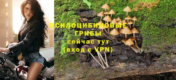ALPHA PVP Аркадак