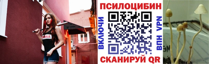 Купить где  Свирск  Псилоцибиновые грибы Magic Shrooms 